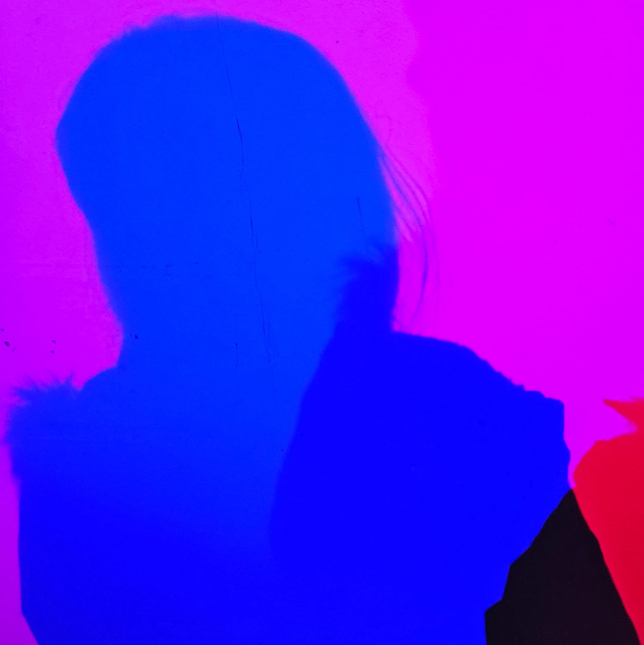 C.E. Rex, in silhouette